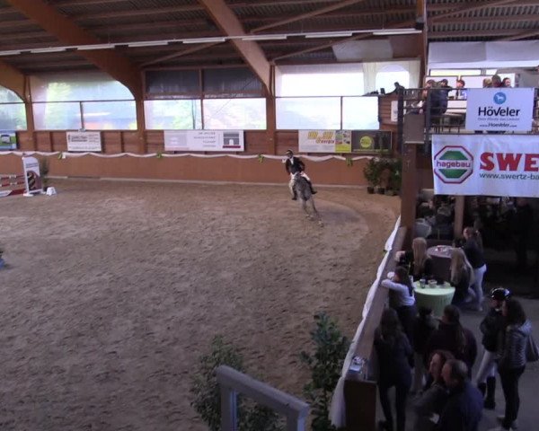 Reitturnier Xanten - Reitanlage Miss 2022