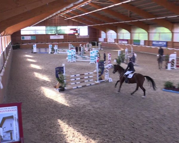 Reitturnier Xanten - Reitanlage Miss 2022
