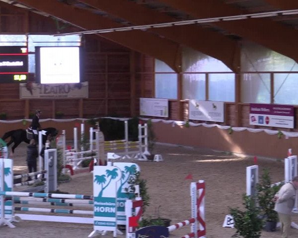 Reitturnier Xanten - Reitanlage Miss 2022
