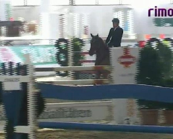 Dressurpferd Lando 253 (Oldenburger, 2001, von Lacatraz)