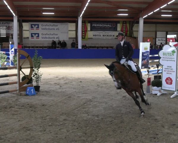 Reitturnier Isterberg Euregio Springturnier 2022