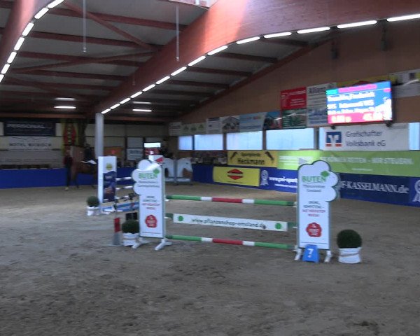 Reitturnier Isterberg Euregio Springturnier 2022