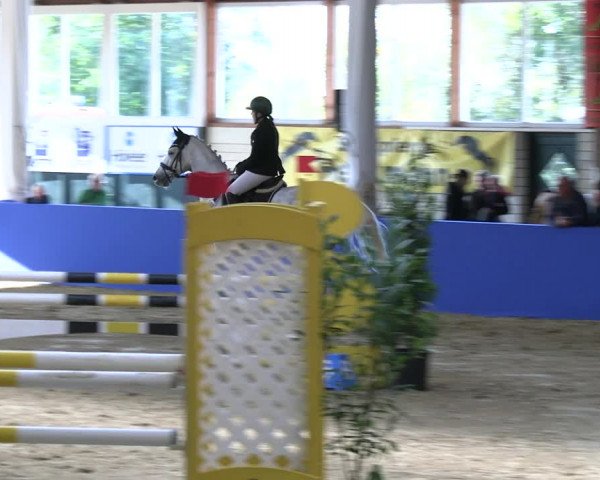 Reitturnier Isterberg Euregio Springturnier 2022