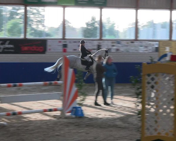 Reitturnier Isterberg Euregio Springturnier 2022