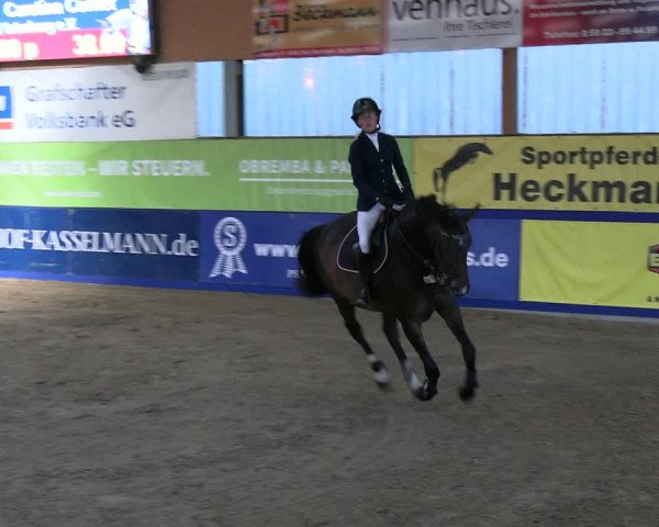 Reitturnier Isterberg Euregio Springturnier 2022