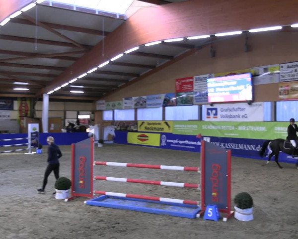 Reitturnier Isterberg Euregio Springturnier 2022