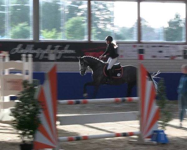 Reitturnier Isterberg Euregio Springturnier 2022
