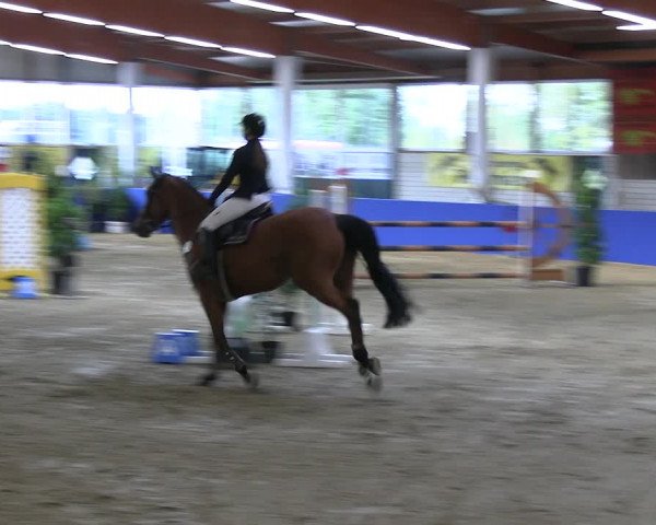 Reitturnier Isterberg Euregio Springturnier 2022
