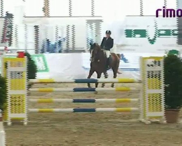 jumper Lord Lennard N (Westphalian, 2002, from Lupicor)