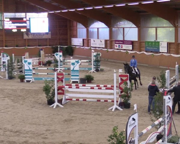 Reitturnier Xanten - Reitanlage Miss 2022