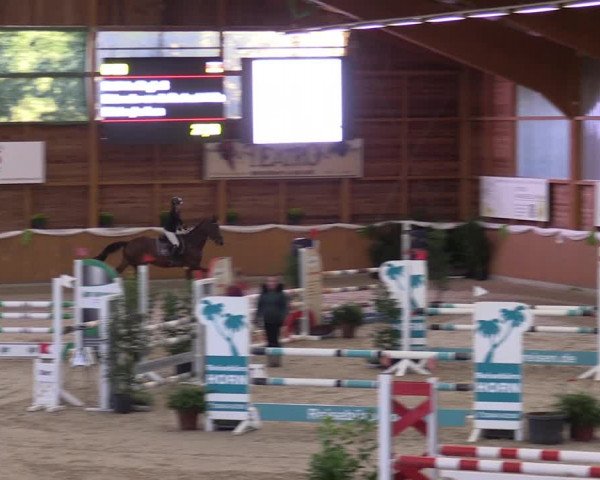Reitturnier Xanten - Reitanlage Miss 2022