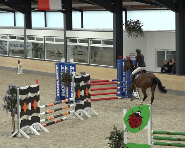 Reitturnier Borken 2022