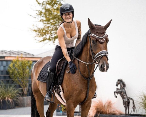 Pferd Don't need magic (Deutsches Sportpferd, 2018, von Quat-Royal)