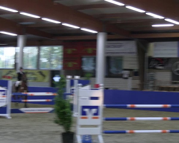 Reitturnier Isterberg Euregio Springturnier 2022