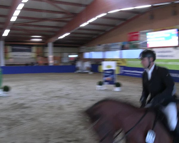 Reitturnier Isterberg Euregio Springturnier 2022