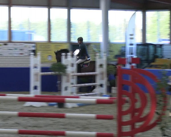 Reitturnier Isterberg Euregio Springturnier 2022