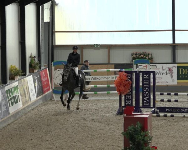 Reitturnier Borken 2022