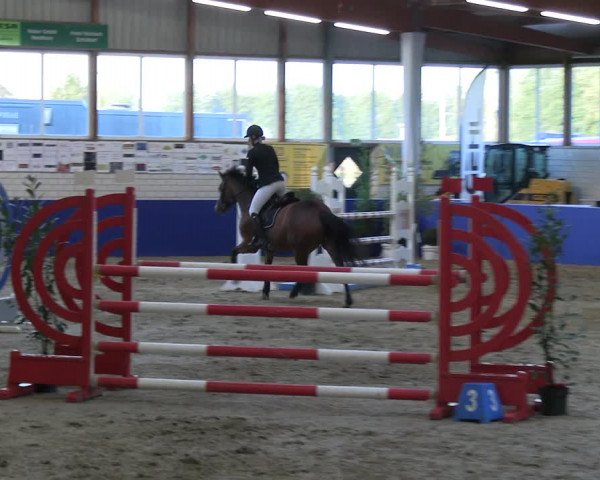 Reitturnier Isterberg Euregio Springturnier 2022