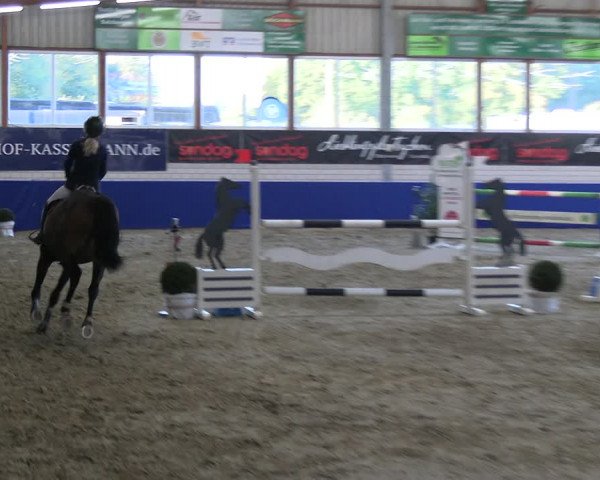 Reitturnier Isterberg Euregio Springturnier 2022