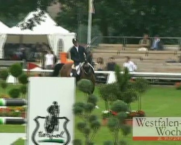 jumper Balou B. (Oldenburg, 2005, from Balou du Rouet) jumper Balou B. (Oldenburg, 2005, from Balou du Rouet)