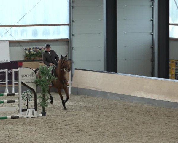 Reitturnier Borken 2022
