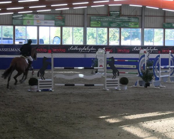Reitturnier Isterberg Euregio Springturnier 2022