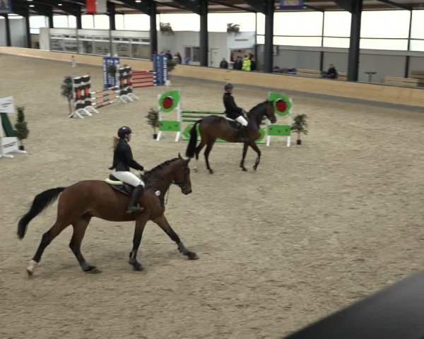 Reitturnier Borken 2022