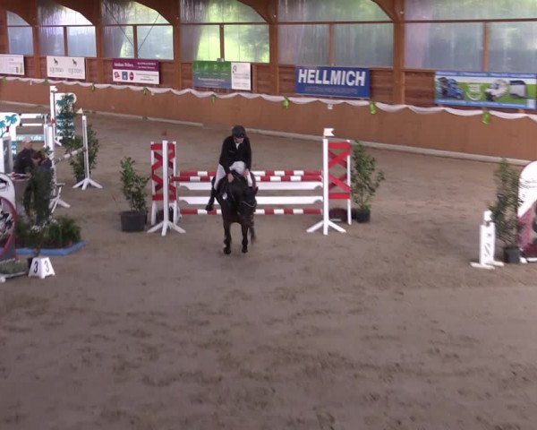 Reitturnier Xanten - Reitanlage Miss 2022