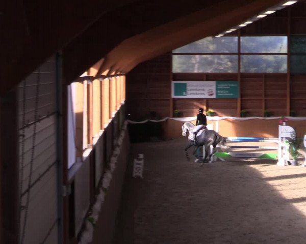 Reitturnier Xanten - Reitanlage Miss 2022