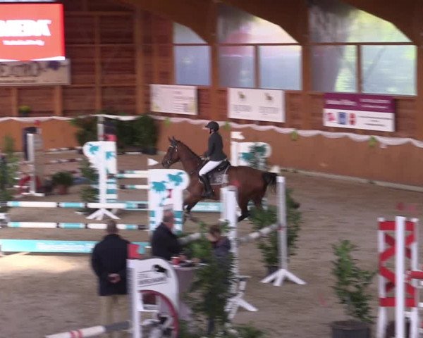 Reitturnier Xanten - Reitanlage Miss 2022