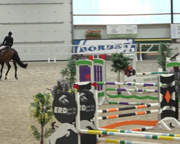 Reitturnier Borken 2022