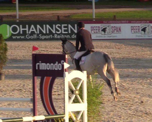 Reitturnier Westergellersen 2022