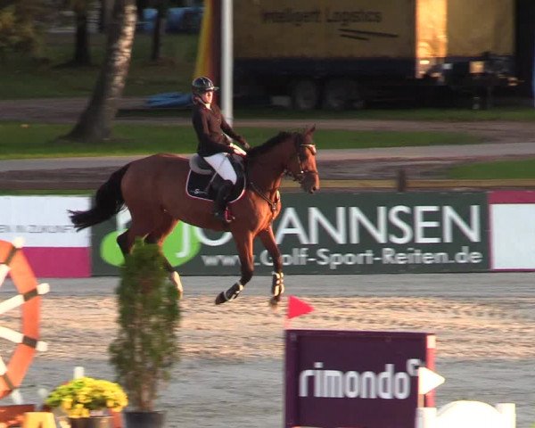 Reitturnier Westergellersen 2022