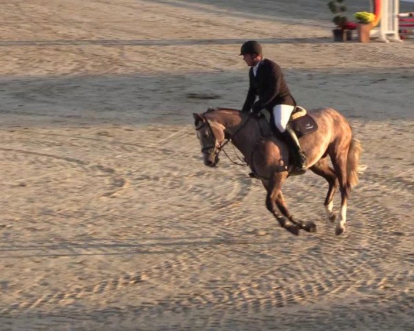 Reitturnier Westergellersen 2022
