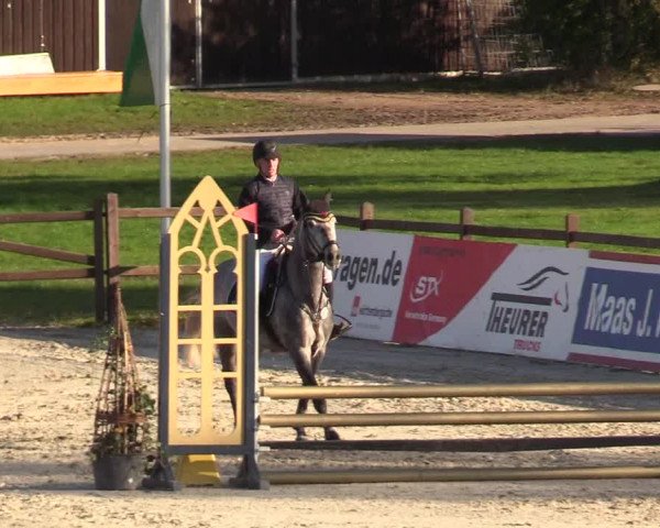 Reitturnier Westergellersen 2022