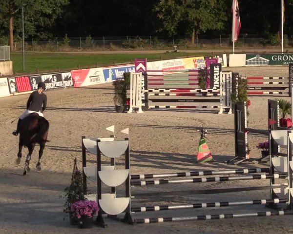 Reitturnier Westergellersen 2022