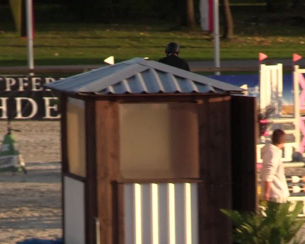 Reitturnier Westergellersen 2022