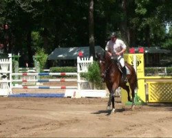 jumper Zita 91 (Holsteiner, 2007, from Con Air)
