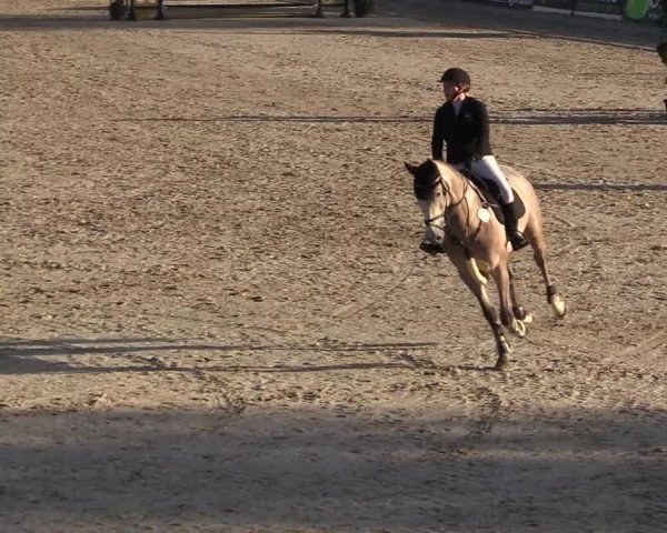 Reitturnier Westergellersen 2022