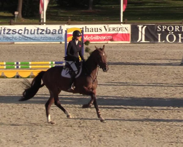 Reitturnier Westergellersen 2022