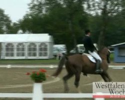 dressage horse Macchiato (Westphalian, 2005, from Montmartre)