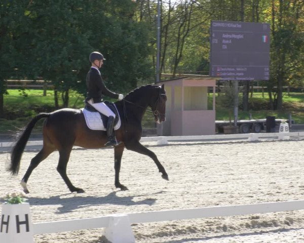 Reitturnier Troisdorf - Haus Rott 2022