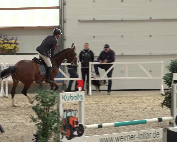 Reitturnier Borken 2022
