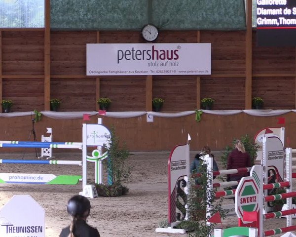 Reitturnier Xanten - Reitanlage Miss 2022