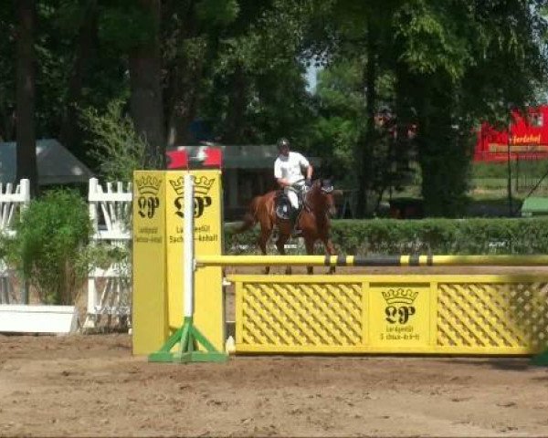 horse Leopold van Asten (Saxony-Anhaltiner, 2007, from Limoncello I)