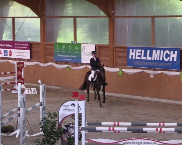 Reitturnier Xanten - Reitanlage Miss 2022