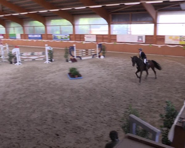 Reitturnier Xanten - Reitanlage Miss 2022