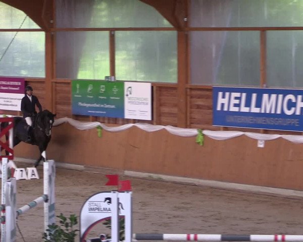 Reitturnier Xanten - Reitanlage Miss 2022