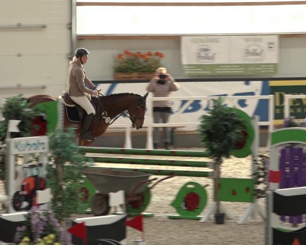 Reitturnier Borken 2022