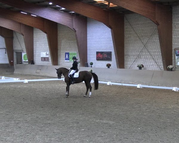 Reitturnier Kamen 2022